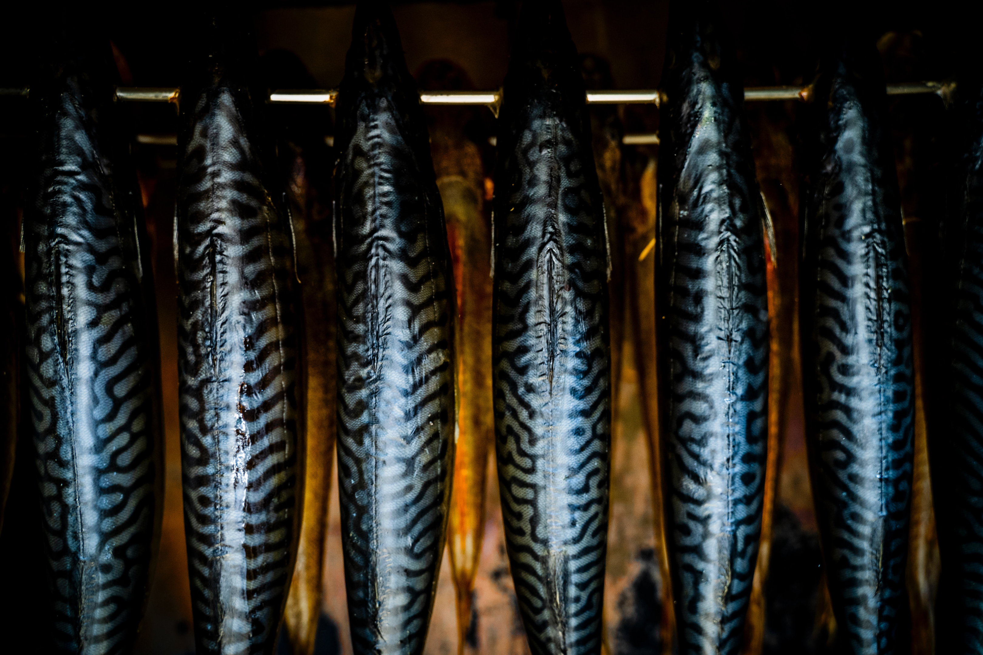 Auch Makrelen eignen sich äußerst gut zum Räuchern – und erhalten dadurch eine besonders zarte Textur.
